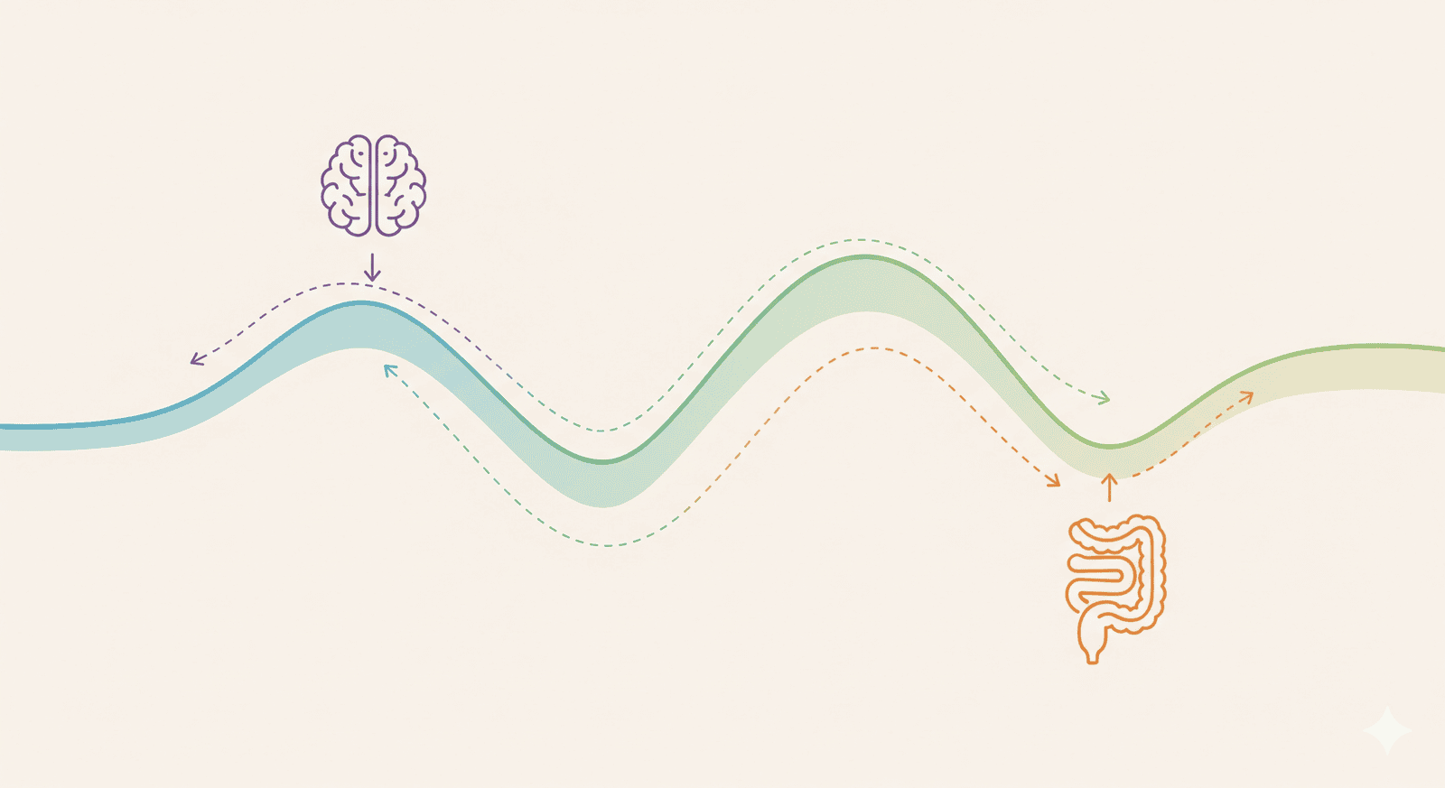 An abstract graphic with a smooth line representing stable blood sugar, with icons for the brain and gut.